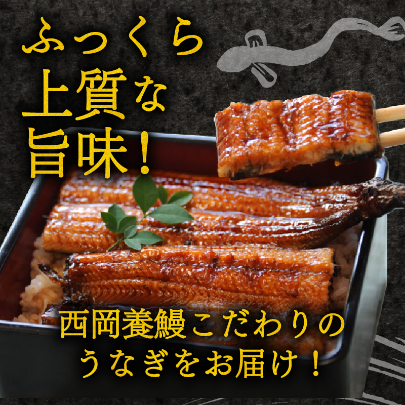 【2回定期便】国産うなぎ 蒲焼 計4尾 (120g×2尾×2回)  高知県産  自家製タレ ・山椒つき